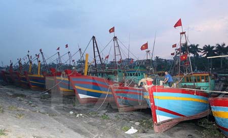 Ngư dân neo thuyền vào nơi trú bão tại cảng cá Tân Sơn, huyên Thái Thụy, Thái Bình.